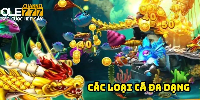 Các loại cá mang phần thưởng đa dạng từ nhỏ đến đặc biệt.