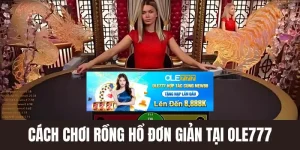 cách chơi rồng hổ