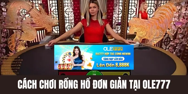 cách chơi rồng hổ