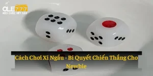 cách chơi xí ngầu cho newbie