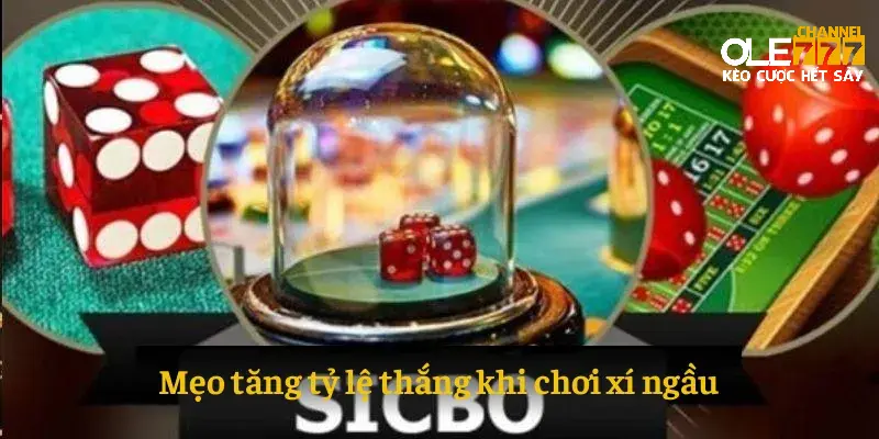 Mẹo tăng tỷ lệ thắng khi chơi xí ngầu
