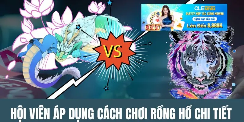Hội viên áp dụng cách chơi Rồng Hổ chi tiết