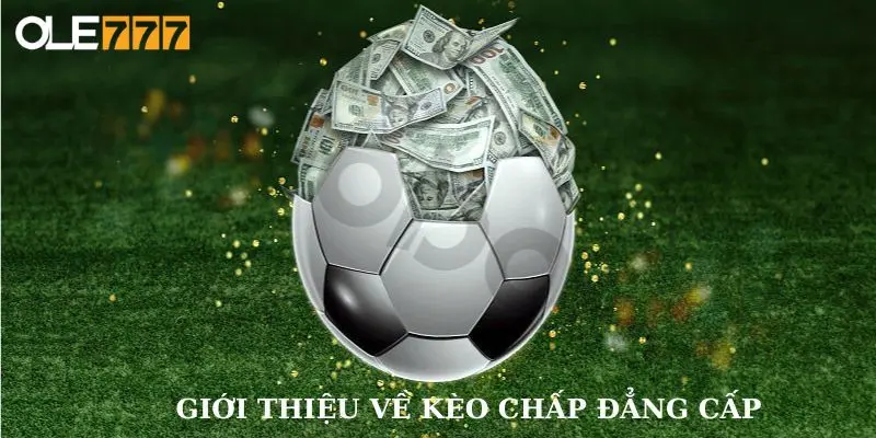 Tham gia chơi tại nền tảng uy tín hàng đầu